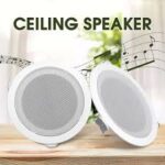 High-Performance Ceiling Speaker